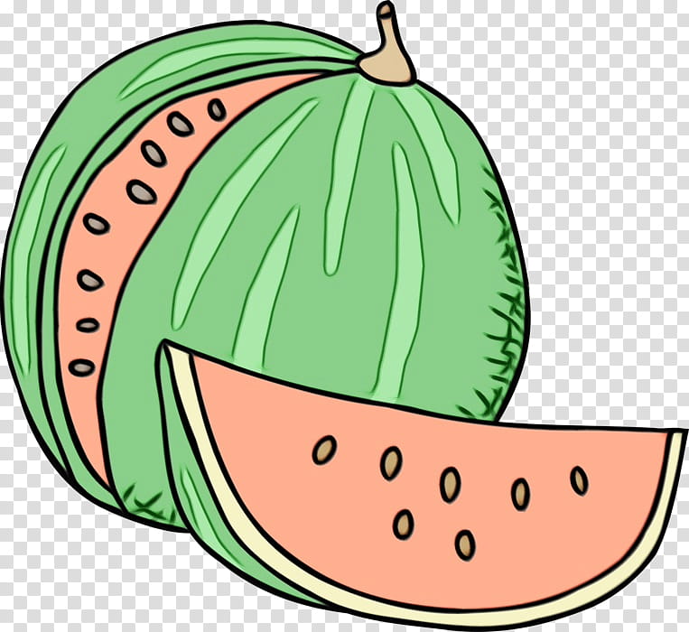 Watermelon, Watercolor, Paint, Wet Ink, Cucumber Gourd And Melon Family, Fruit, Plant, Citrullus transparent background PNG clipart