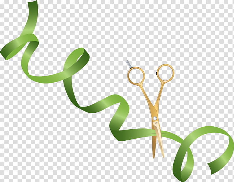 scissors ribbons grand opening, Plant Stem, Line, Meter, Jewellery, Plants, Science, Biology transparent background PNG clipart