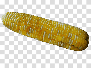 corn on the cob sweet corn vegetarian cuisine corn kernel side dish, Watercolor, Paint, Wet Ink, Commodity, Vegetarianism transparent background PNG clipart thumbnail