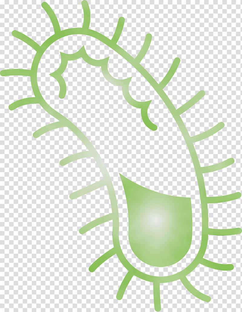 green leaf plant vascular plant, Bacteria, Germs, Virus, Watercolor, Paint, Wet Ink transparent background PNG clipart