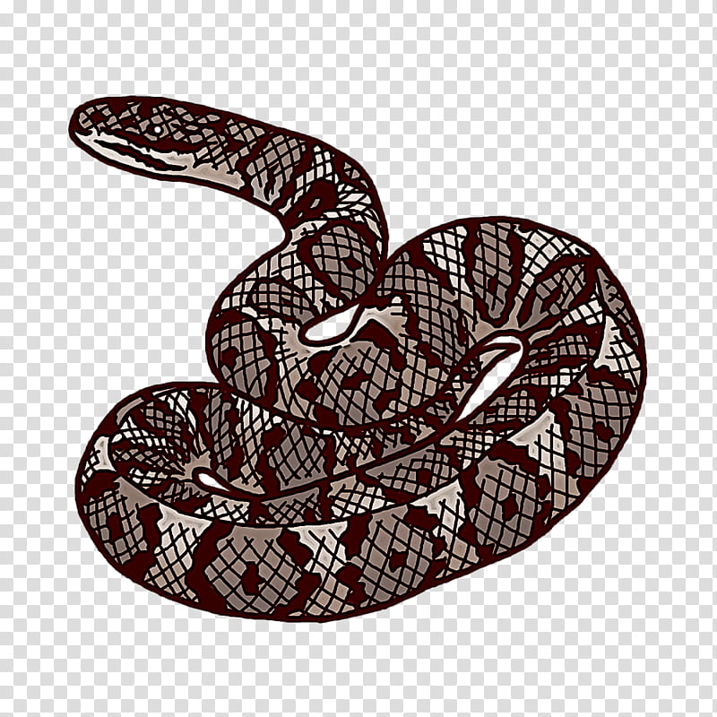 rattlesnake boa constrictor kingsnakes vipers, Cartoon, Drawing, Western Hognose Snake, Silhouette, Logo transparent background PNG clipart