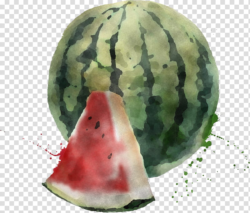 watermelon m watermelon m transparent background PNG clipart