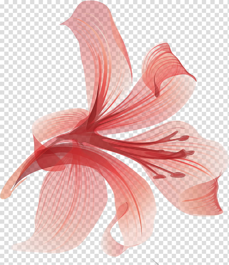 Lily Flower, Petal, Tshirt, Cut Flowers, Plant Stem, Floral Design, Jersey Lily, Artificial Flower transparent background PNG clipart