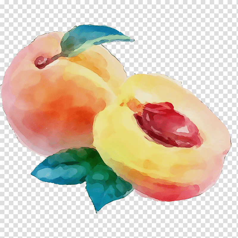 Watermelon, Watercolor, Paint, Wet Ink, Peach, Fruit, Hami Melon transparent background PNG clipart