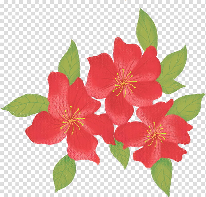 flower petal plant camellia sasanqua prickly rose, Impatiens, Rosa Rubiginosa transparent background PNG clipart