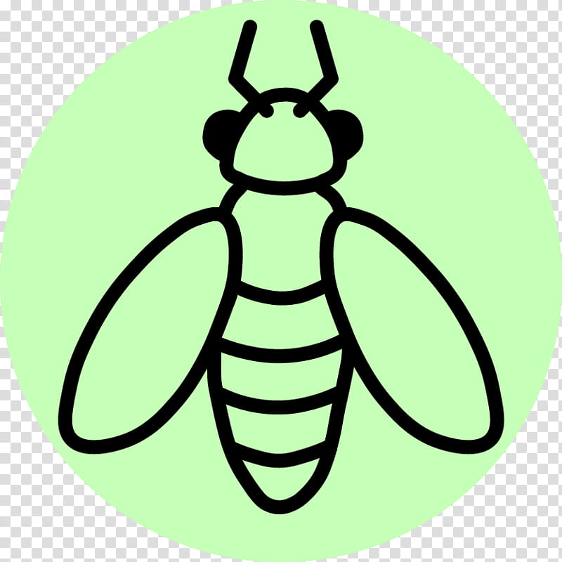 Bee, Insect, Drawing, Entomology, Pest, Honey Bee, Fruit Flies, Beneficial Insect transparent background PNG clipart