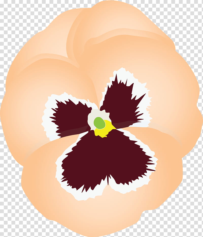 PANSY Spring Flower, Plant, Violet Family, VIOLA, Petal, Cattleya, Iris transparent background PNG clipart