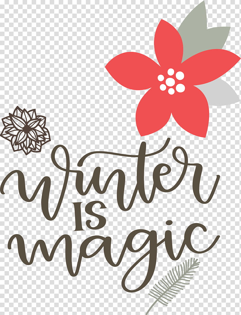 Winter Is Magic Hello Winter Winter, Winter
, Cut Flowers, Floral Design, Logo, Petal, Line, Text transparent background PNG clipart
