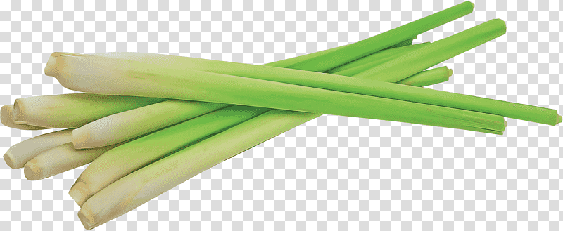 scallion plant stem welsh onion garden asparagus allium, Plant Structure, Science, Biology transparent background PNG clipart