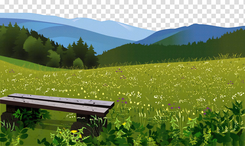 mount scenery biome grassland ecoregion grasses, Hill Station, Computer, Farm, Tree, Mountain, Biology, Science transparent background PNG clipart