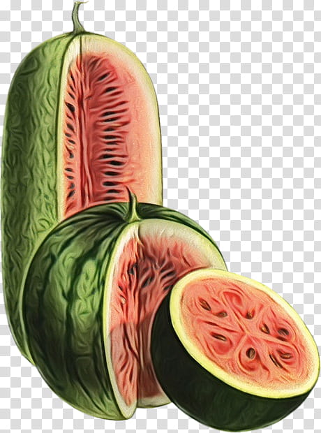 Watermelon, Watercolor, Paint, Wet Ink, Mukimono, Winter Squash, Superfood, Watermelon M transparent background PNG clipart