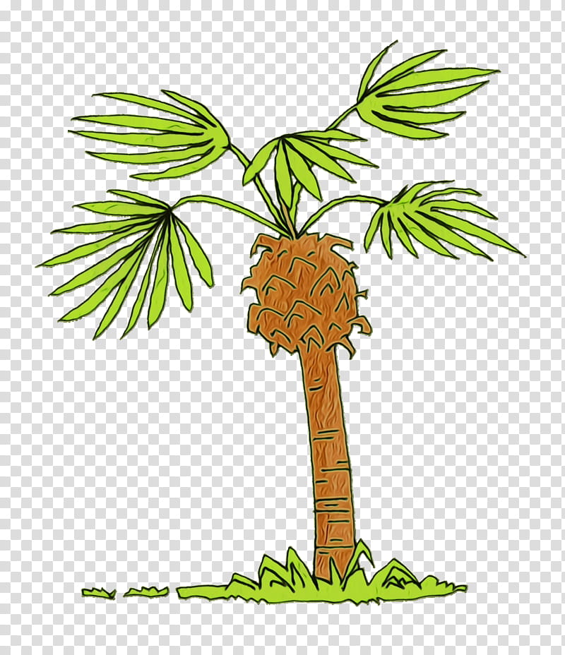 Palm trees, Watercolor, Paint, Wet Ink, Asian Palmyra Palm, Plant Stem, Flowerpot, Borassus transparent background PNG clipart