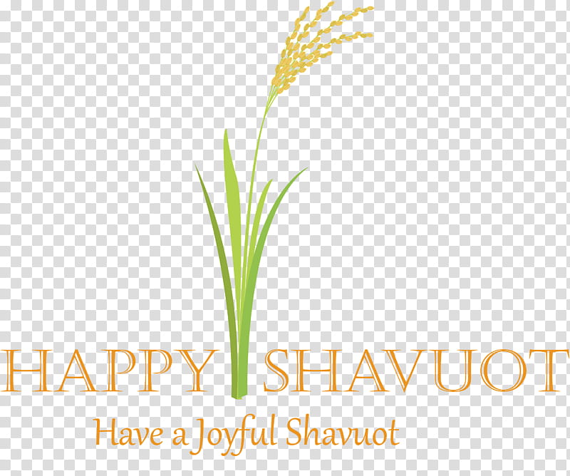 Happy Shavuot Shavuot Shovuos, Leaf, Plant, Grass, Text, Logo, Grass Family, Plant Stem transparent background PNG clipart