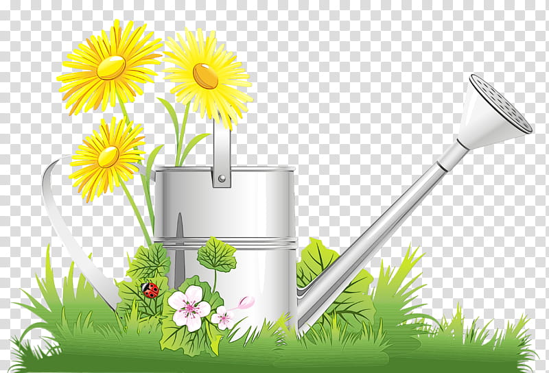 Daisy, Watercolor, Paint, Wet Ink, Watering Can, Camomile, Flower, Plant transparent background PNG clipart