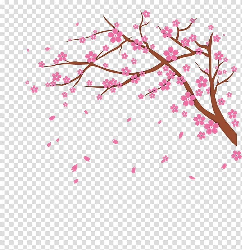 Cherry blossom, National Cherry Blossom Festival, Drawing, Spring
, Cartoon transparent background PNG clipart