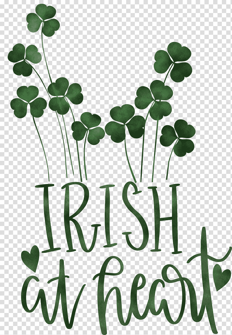 shamrock Irish Saint Patrick, Saint Patricks Day, Fourleaf Clover, White Clover, Irish People, Luck, Leprechaun transparent background PNG clipart