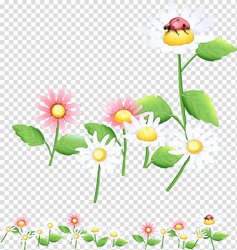 Drawing Flower Design Cartoon Garden, Watercolor, Paint, Wet Ink, Plant, Chamomile, Petal transparent background PNG clipart