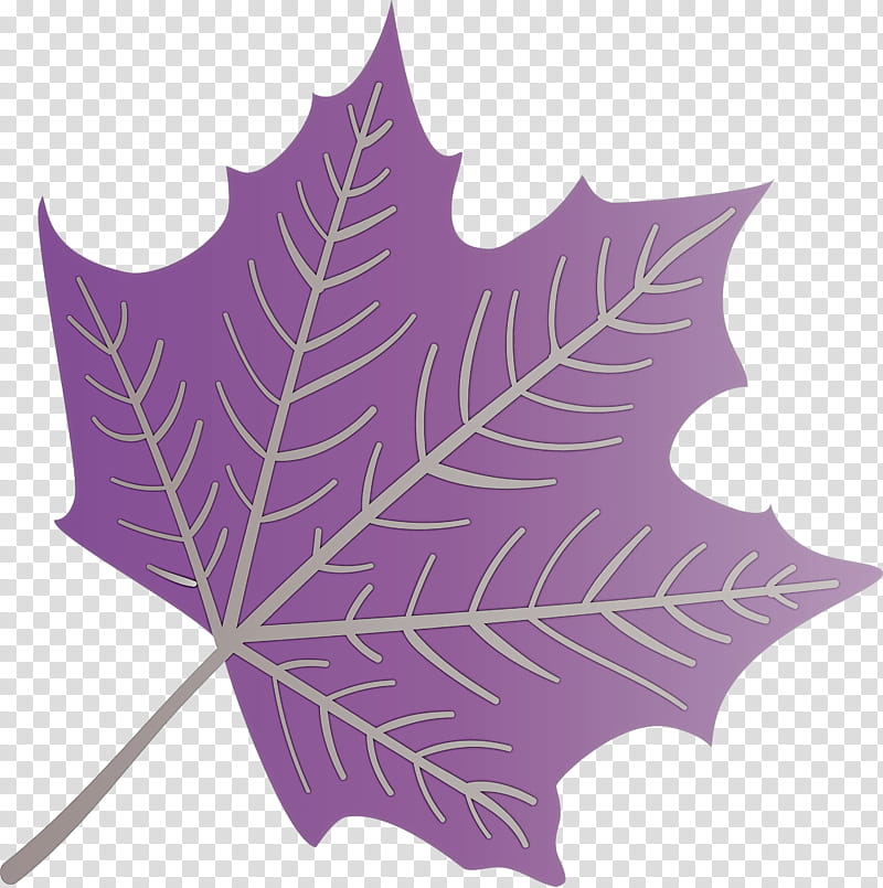 Autumn Leaf Colourful Foliage Colorful Leaves, COLORFUL LEAF, Maple Leaf, Line Art, Drawing, Watercolor Painting, Cartoon transparent background PNG clipart