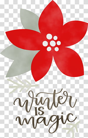 Floral design, Winter Is Magic, Hello Winter, Winter
, Watercolor, Paint, Wet Ink, Cut Flowers transparent background PNG clipart thumbnail