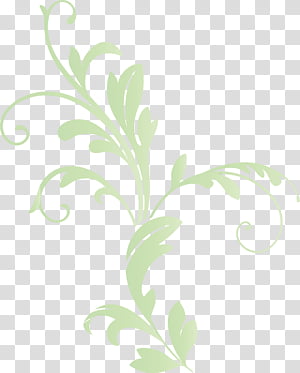 Floral design, Decoration Frame, Floral Frame, Flower Frame, Watercolor, Paint, Wet Ink, Leaf transparent background PNG clipart thumbnail