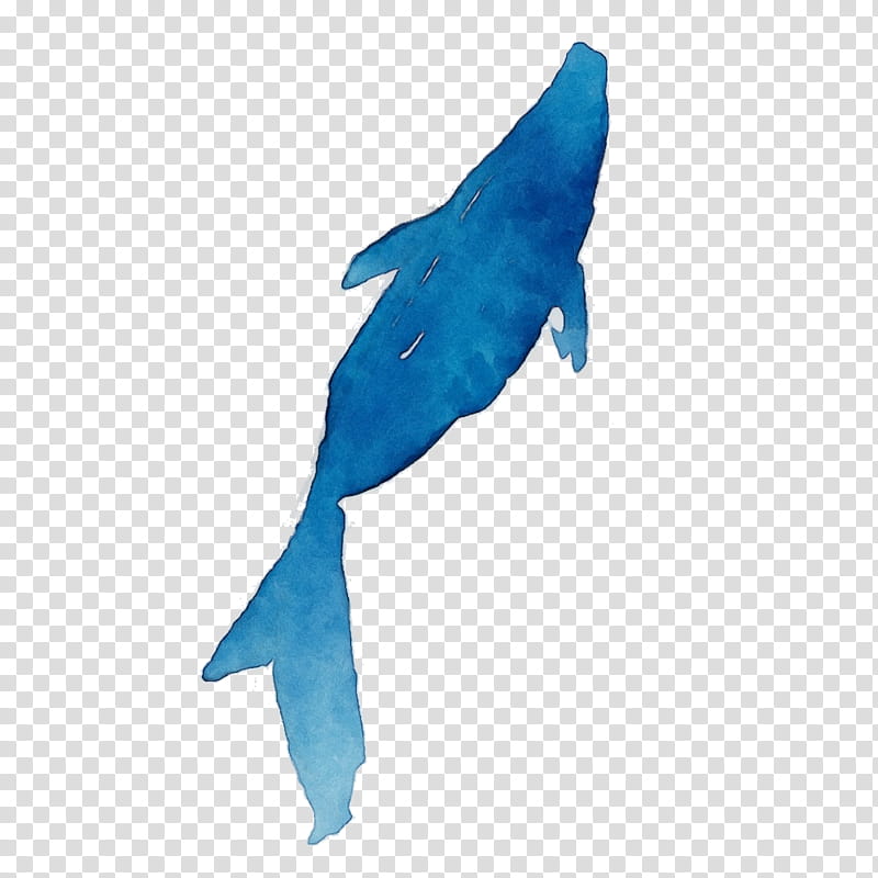 fin turquoise fish fish dolphin, Watercolor Fish, Paint, Wet Ink, Blue Whale, Cetacea transparent background PNG clipart
