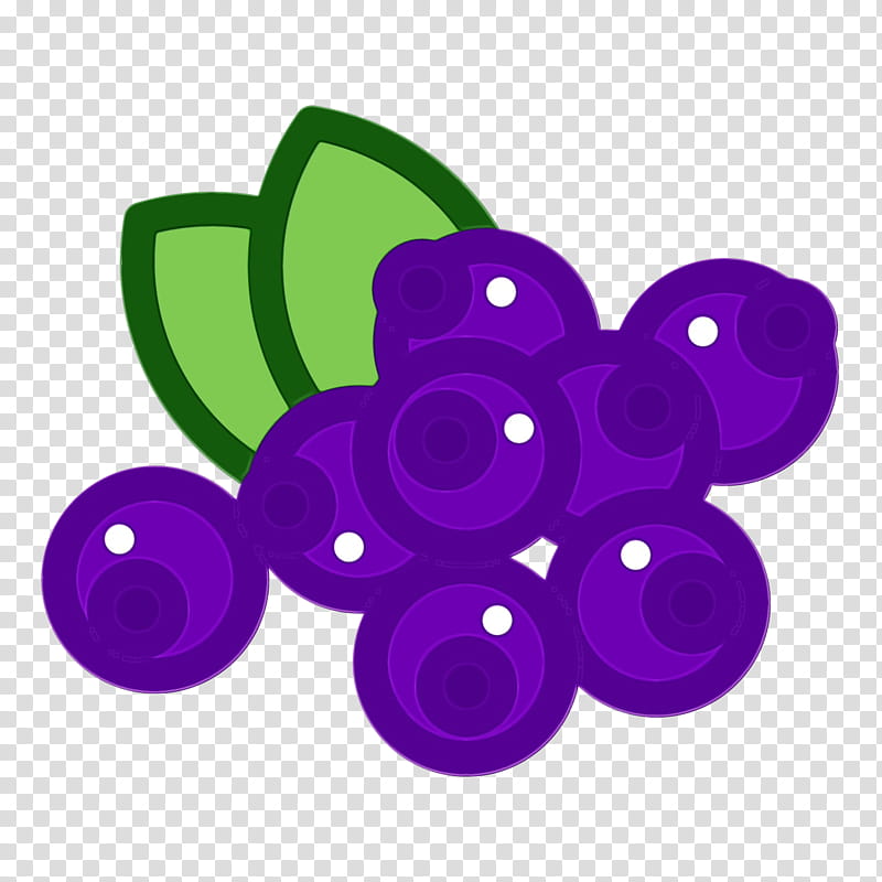 violet purple grape grapevine family fruit, Watercolor, Paint, Wet Ink, Vitis, Plant, Circle, Button transparent background PNG clipart