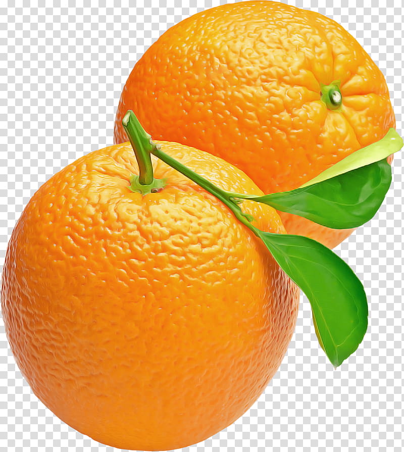 Orange, Blood Orange, Clementine, Fruit, Lemon, Mandarin Orange, Citron, Bitter Orange transparent background PNG clipart