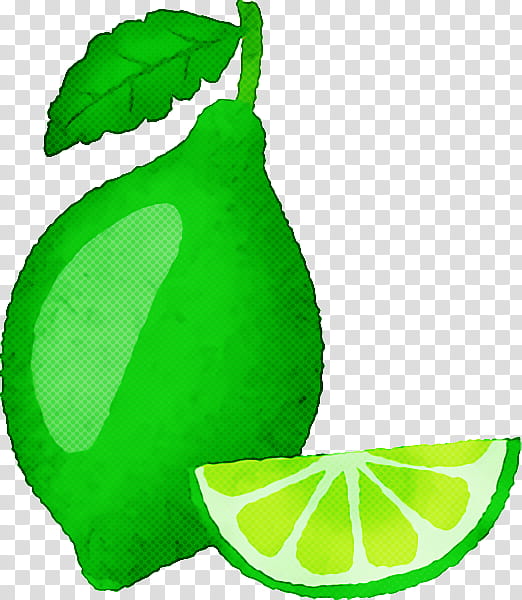 lime persian lime lemon-lime drink citric acid leaf, Lemonlime Drink, Green, Mtree, Citrus Fruit, Biology, Plant Structure, Science transparent background PNG clipart