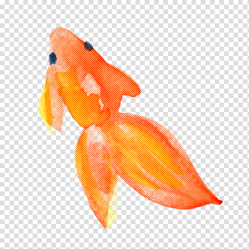 Orange, Watercolor Fish, Goldfish, Plant transparent background PNG clipart