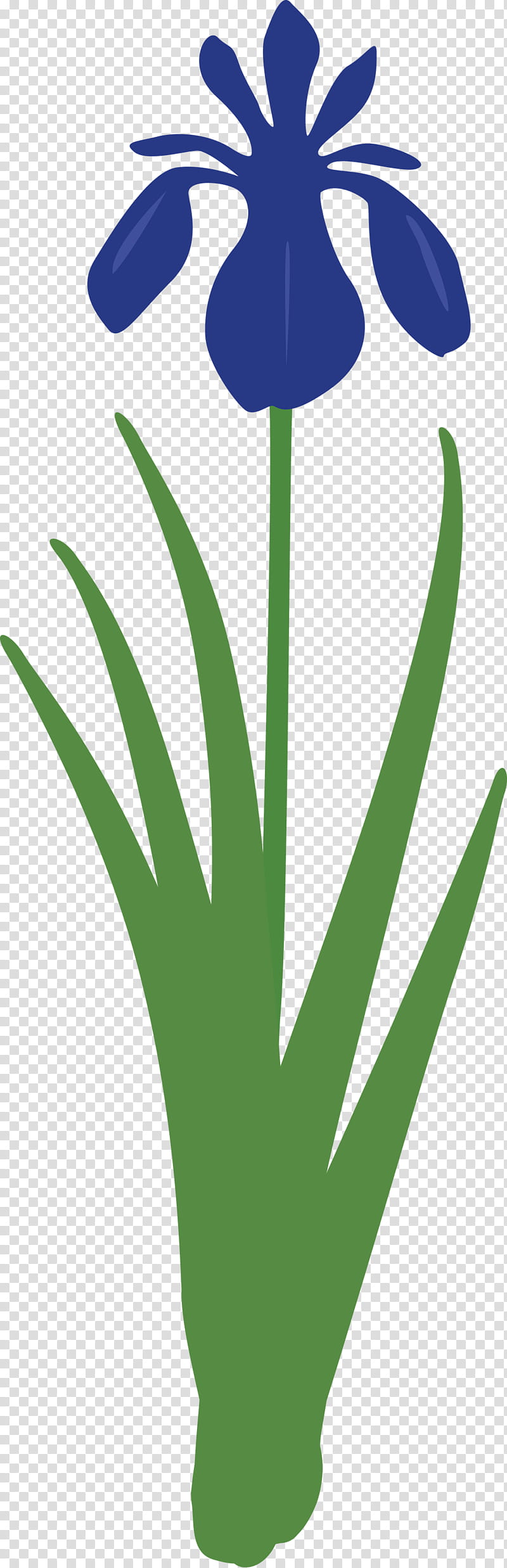 iris flower spring flower, Iris Flower, Green, Leaf, Plant, Grass, Grass Family, Logo transparent background PNG clipart