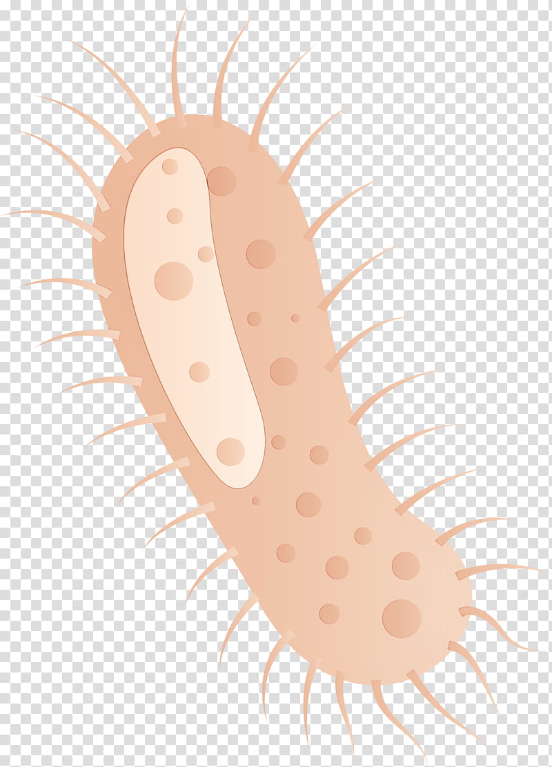 mouth flatworm worm ear, Coronavirus, COVID, Watercolor, Paint, Wet Ink transparent background PNG clipart