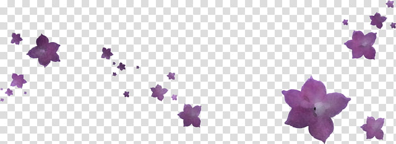 flower border flower, Flower Background, Purple, Violet, Pink, Lavender, Lilac, Magenta transparent background PNG clipart