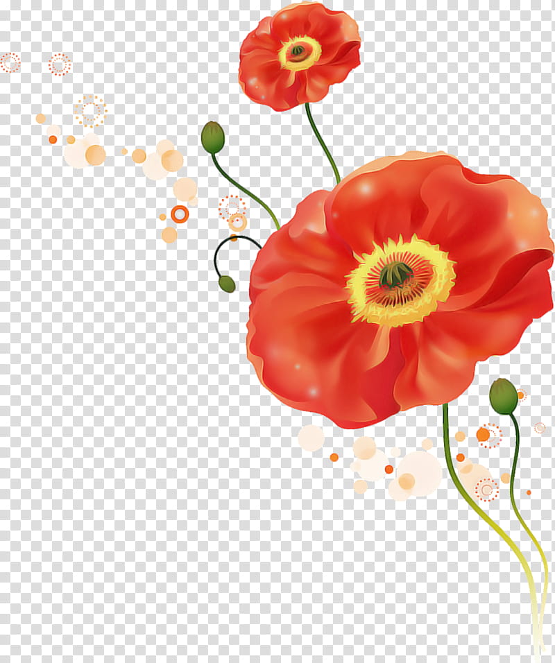 flower red plant petal corn poppy, Coquelicot, Poppy Family, Oriental Poppy, Plant Stem, Cut Flowers, Watercolor Paint, Anemone transparent background PNG clipart