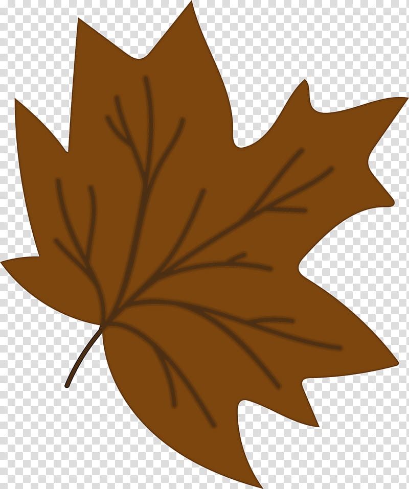 Maple leaf, Plant Stem, Symmetry, Petal, Flower, Yellow, Symmetry In Biology, Plant Structure transparent background PNG clipart