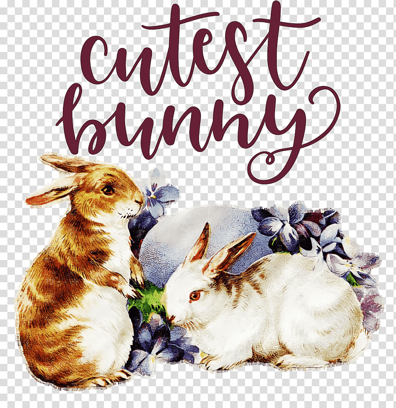 Cutest Bunny Happy Easter Easter Day, Easter Bunny, Easter Egg, Easter Parade, Christmas Day, Postcard, Easter Basket transparent background PNG clipart