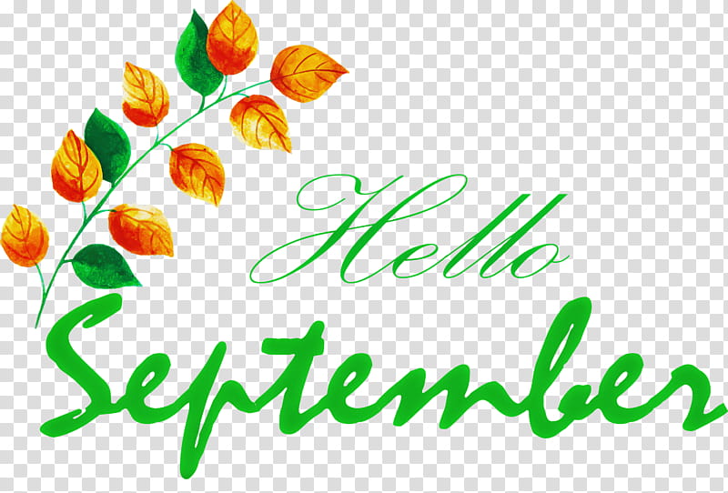 hello september, Logo, Petal, Meter, Line, Panetteria Zn, Mathematics, Geometry transparent background PNG clipart