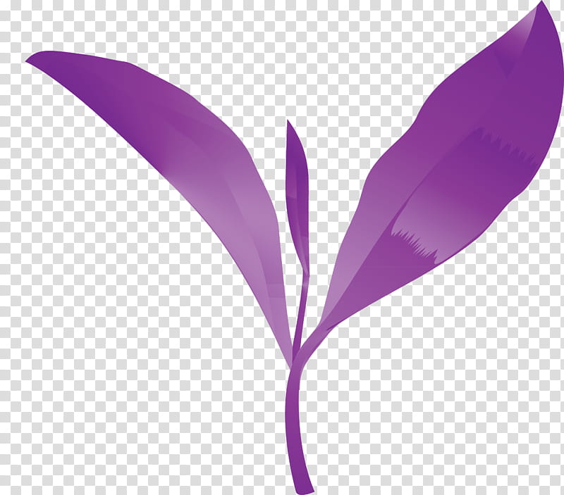 tea leaves leaf spring, Spring
, Violet, Purple, Flower, Plant, Lilac, Feather transparent background PNG clipart