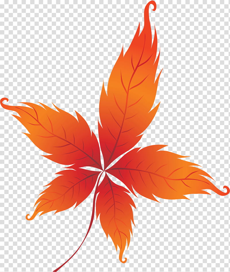Maple leaf, Abscission, Red Maple, Plant Stem, Twig, Orange, Branch, Autumn Leaf Color transparent background PNG clipart