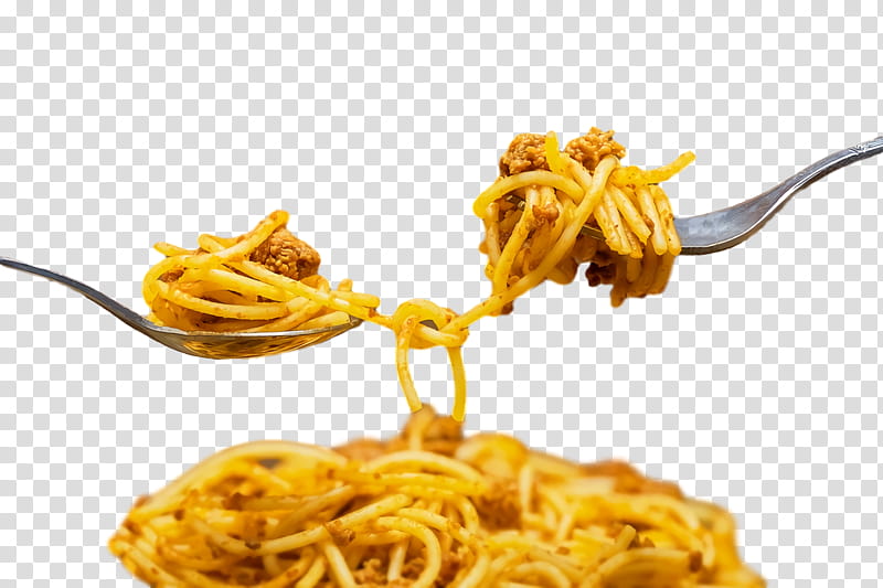 al dente taglierini bigoli spaghetti bucatini, Pici transparent background PNG clipart