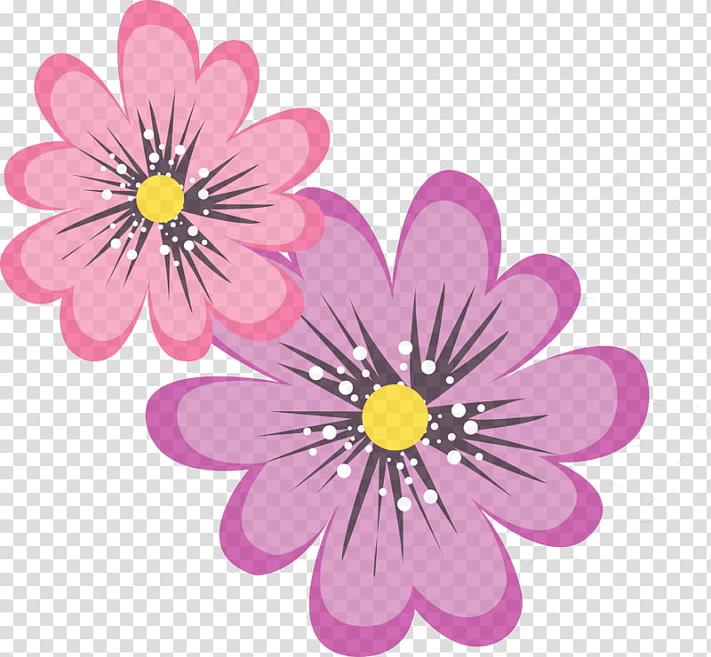 Cinco de Mayo, Dahlia, Annual Plant, Chrysanthemum, Floral Design, Herbaceous Plant, Plants, Pink M transparent background PNG clipart