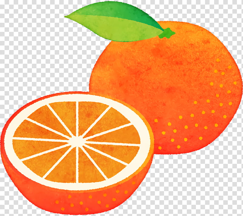 Orange, Welty Mandarins, Mandarin Orange, Grapefruit, Tangerine, Tangelo, Blood Orange, Peel transparent background PNG clipart