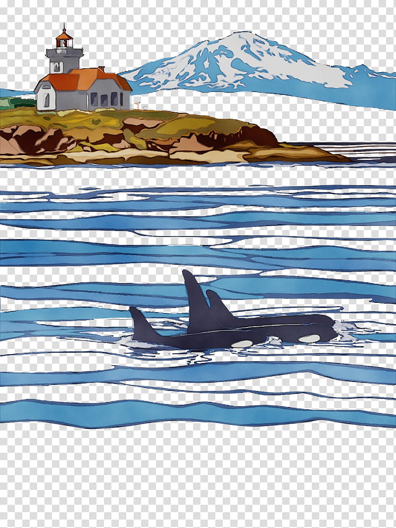 09738 arctic killer whale water line, Watercolor, Paint, Wet Ink, Whales transparent background PNG clipart