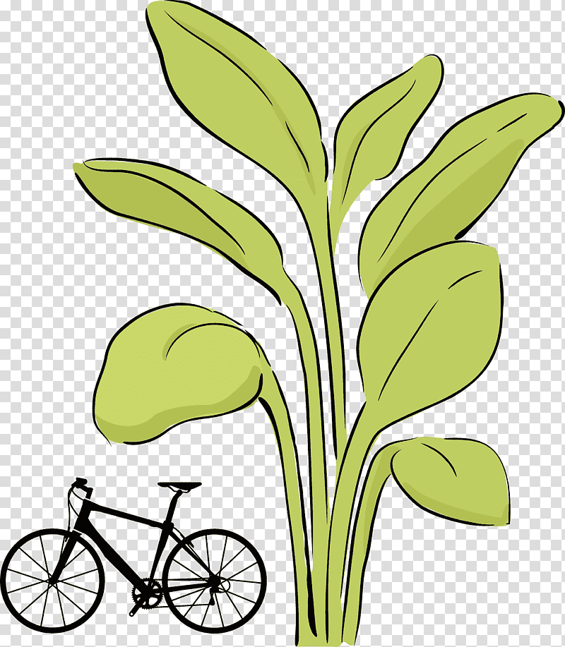 bike bicycle, Leaf, Plant Stem, Grasses, Cut Flowers, Line Art, Tree transparent background PNG clipart