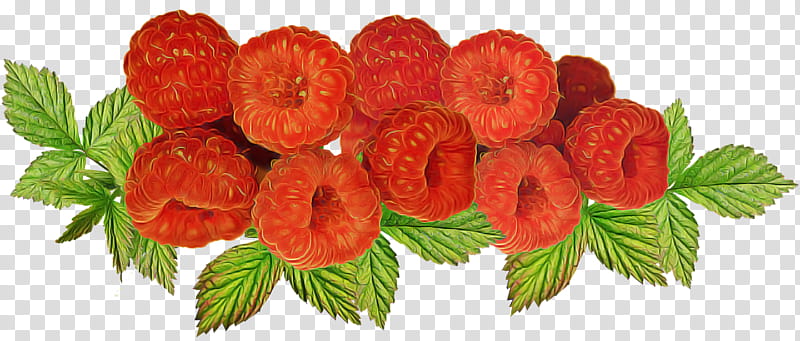 Floral design, Strawberry, Cut Flowers, Rose, Gift Basket, Floristry, Garden Roses, Natural Foods transparent background PNG clipart