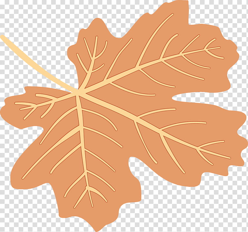 Maple leaf, Autumn Leaf, Colourful Foliage, Colorful Leaves, COLORFUL LEAF, Watercolor, Paint, Wet Ink transparent background PNG clipart