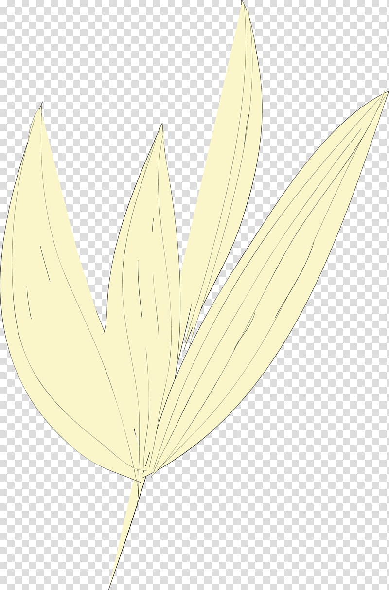 simple leaf simple leaf drawing simple leaf outline, Commodity, Flower, Meter, Plants, Plant Structure, Science, Biology transparent background PNG clipart