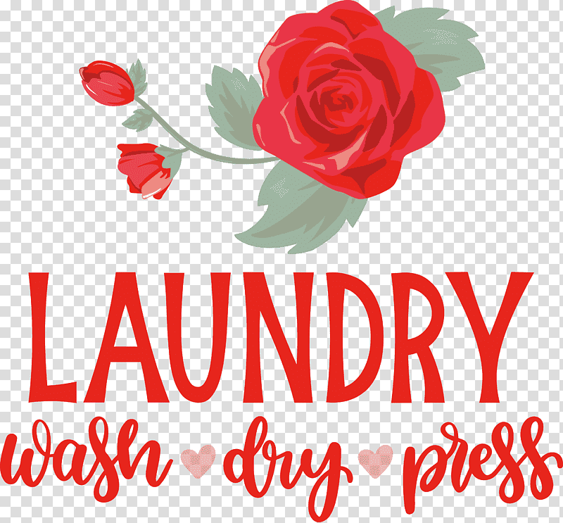 Laundry Wash Dry, Press, Floral Design, Garden Roses, Greeting Card, Cut Flowers, Valentines Day transparent background PNG clipart