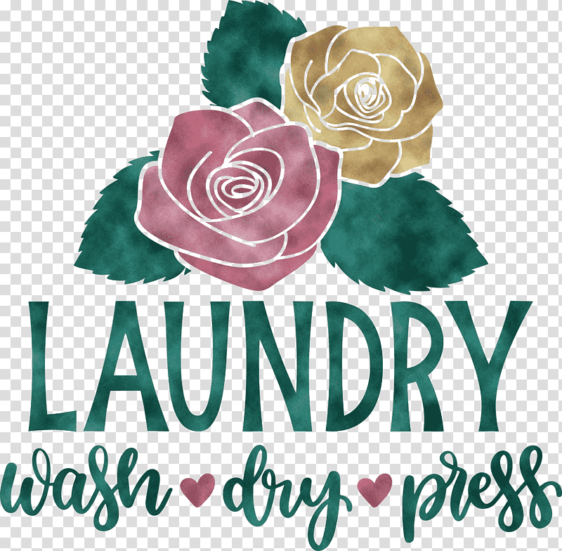 Laundry Wash Dry, Press, Garden Roses, Cut Flowers, Floral Design, Rose Family, Petal transparent background PNG clipart
