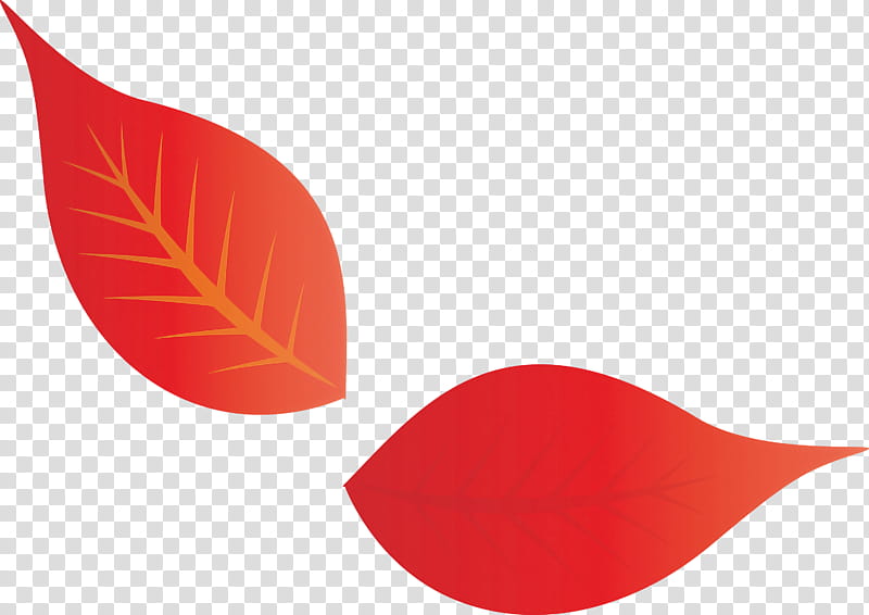 Fall Leaf Autumn Leaf, Line, Science, Mathematics, Plants, Geometry, Biology, Plant Structure transparent background PNG clipart