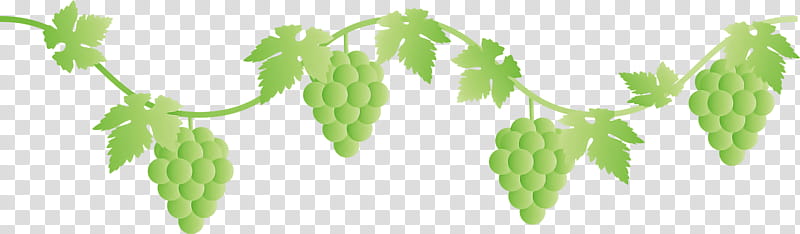 grape grapes fruit, Leaf, Plant, Green, Grapevine Family, Flower, Seedless Fruit, Grape Leaves transparent background PNG clipart